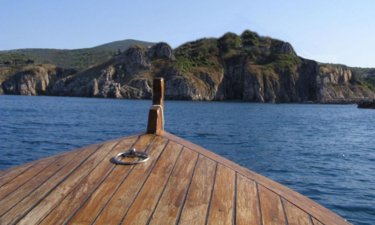 Villa Croatia Srima Exterior photo
